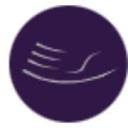 Palmercare Chiropractic logo