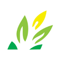 Wheat's Custom Outdoor Living logo